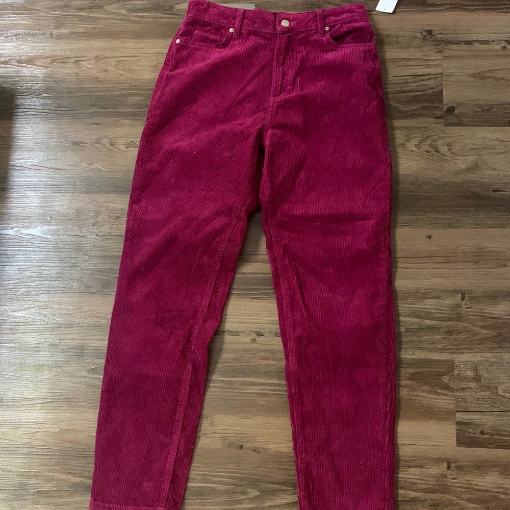 Urban outfitters plum pants